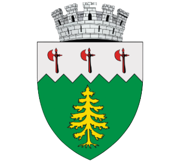 Primaria Câmpulung Moldovenesc